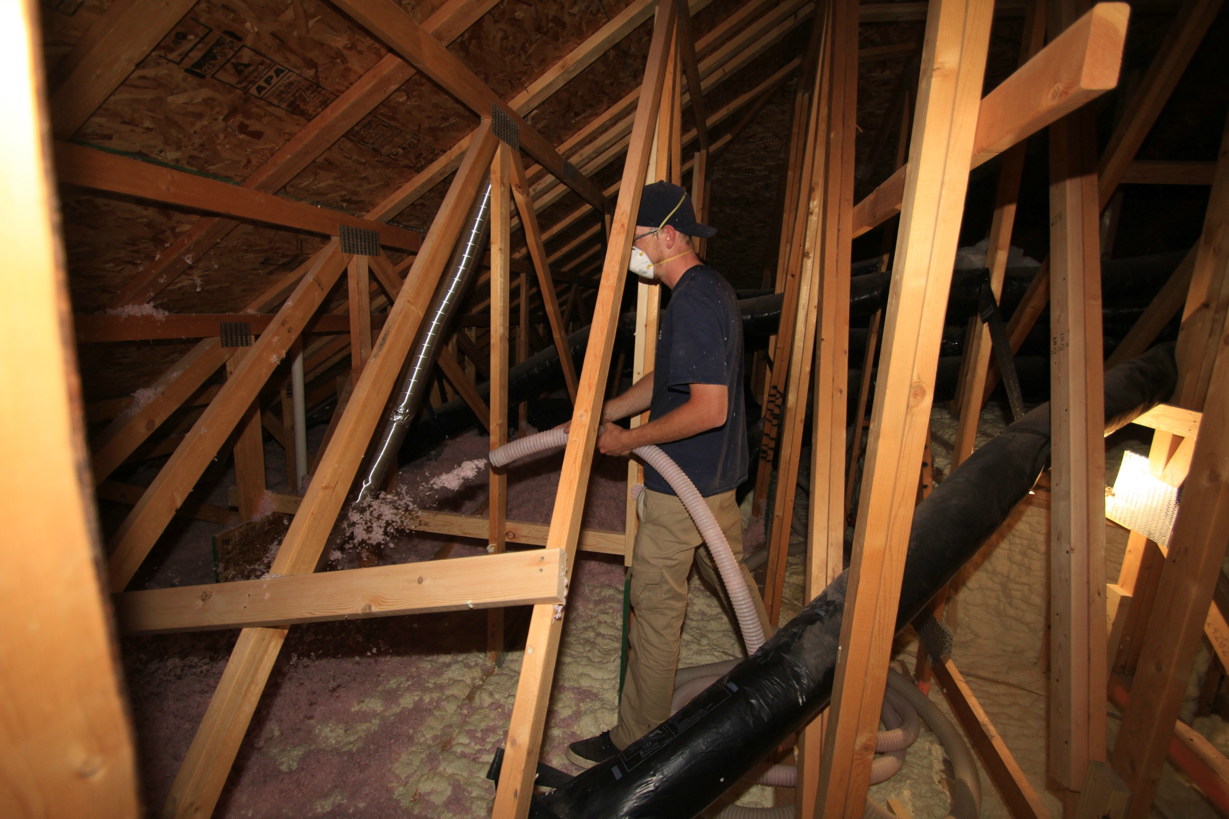 Removal Blow In Insulation AcEco Extermination